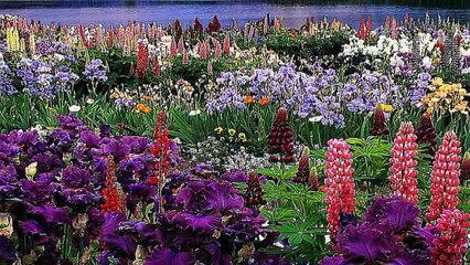 90 - Imágenes de relajación y música de paz total