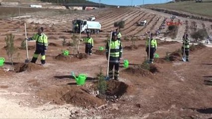Gaziantep?te 25 Bin 600 Fidan Törenle Dikildi