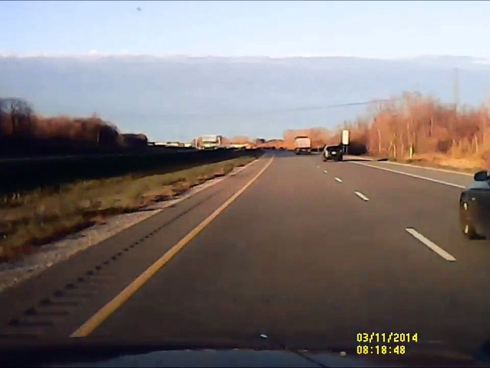 Cerf vs Camion