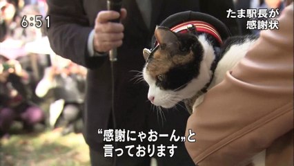 たま駅長が感謝状　（関西ローカル）