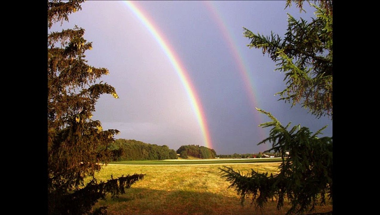 Excerpts from Your Word is Your Wand by Florence Scovel Shinn