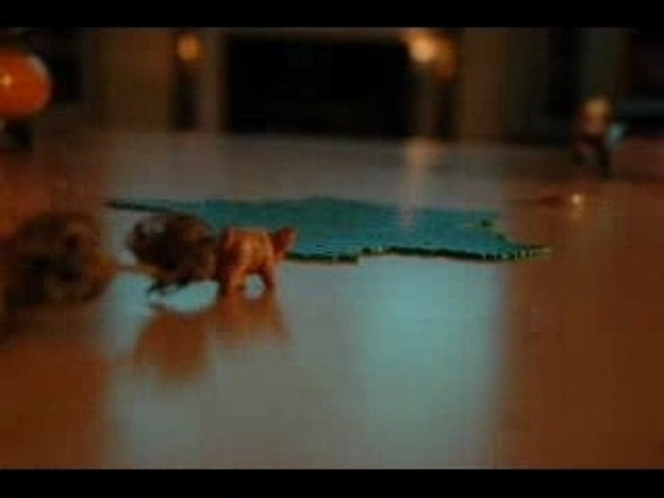 Haribo en vrac