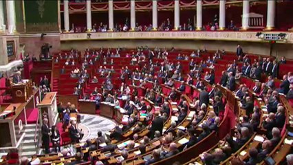 Duflot demande une minute de silence pour Rémi Fraisse à l'Assemblée: Bartolone refuse