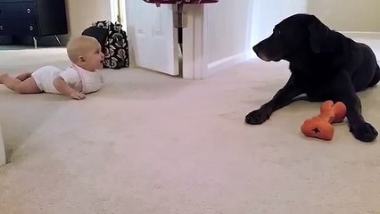 Baby's first crawl with her dog... what a cute ending!