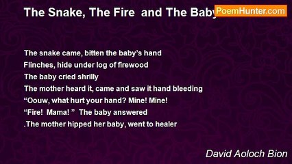 David Aoloch Bion - The Snake, The Fire  and The Baby
