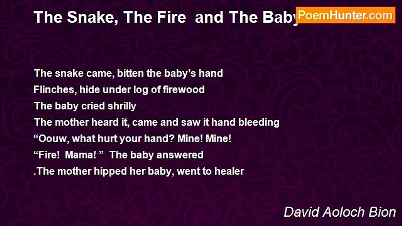 David Aoloch Bion - The Snake, The Fire  and Th...