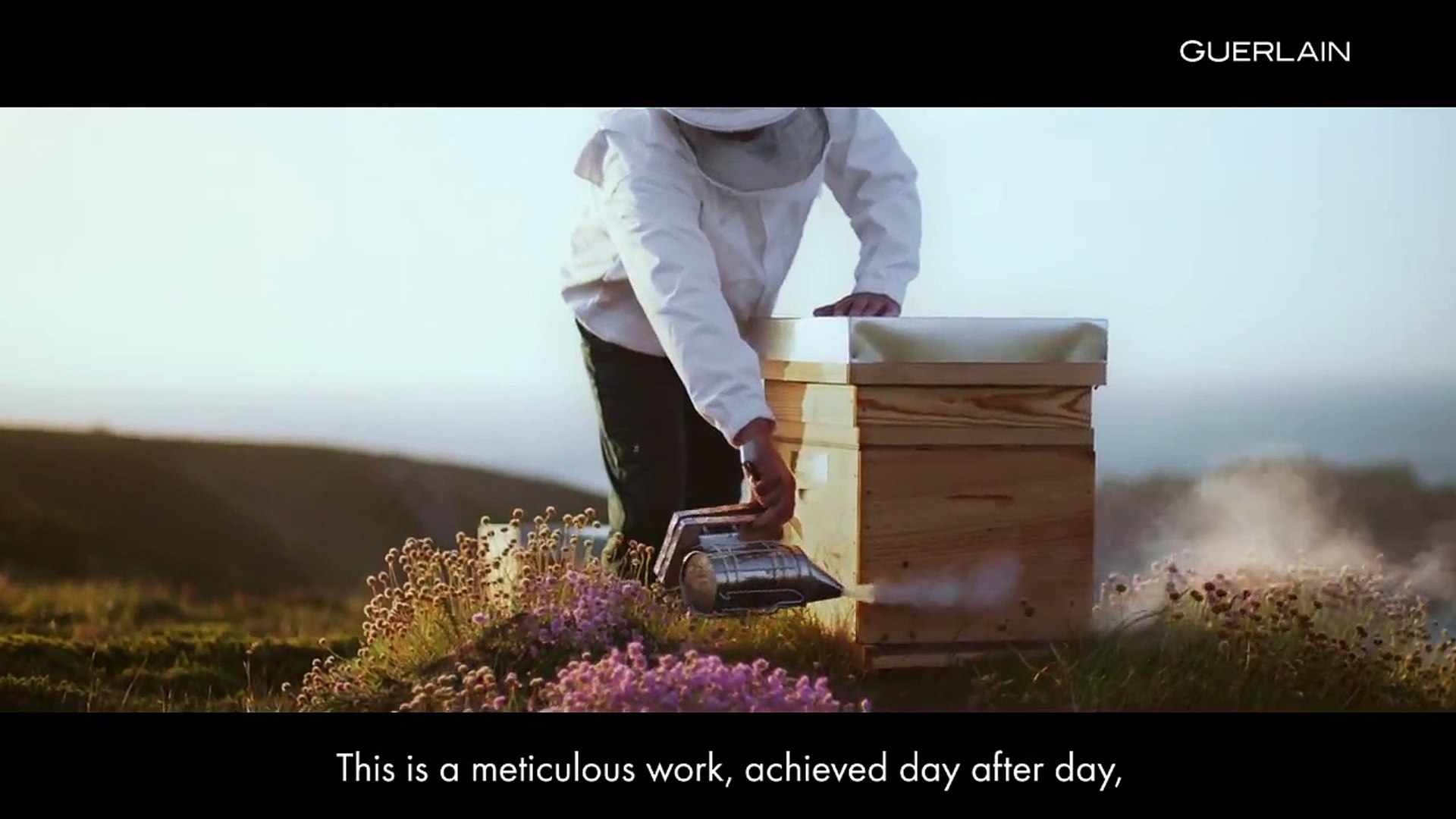 Guerlain : Ouessant, l'île aux abeilles noires - Vidéo Dailymotion