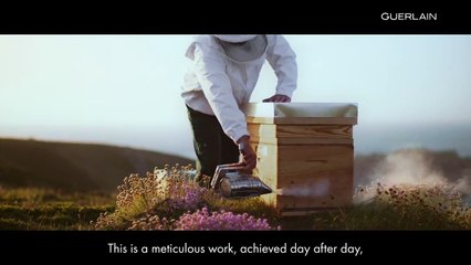 Guerlain : Ouessant, l'île aux abeilles noires