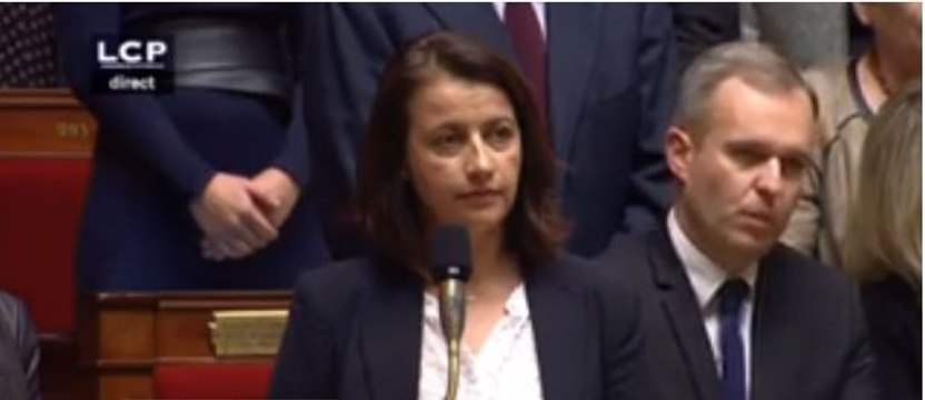 Pourtant interdite, Duflot réalise une minute de silence pour Rémi Fraisse à l'Assemblée