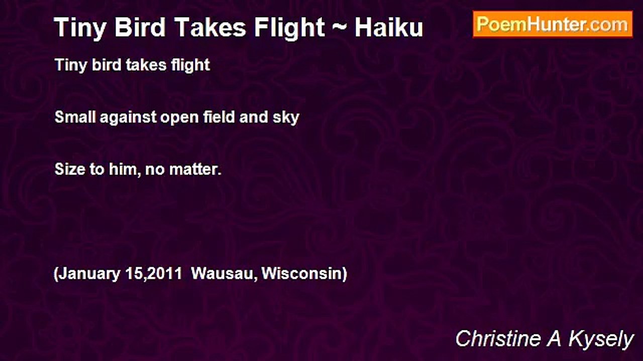 Christine A Kysely - Tiny Bird Takes Flight ~ H...