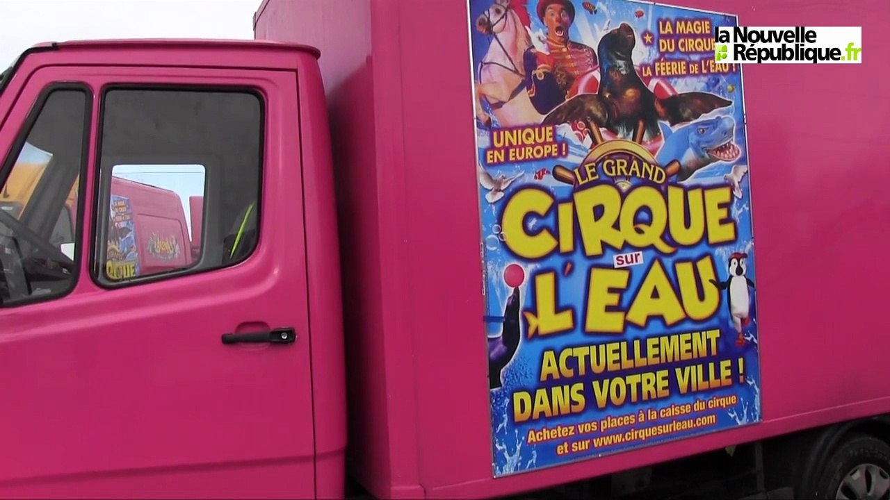 VIDEO. Blois : Sarah et ses amis les manchots