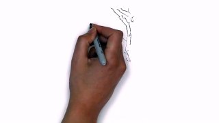 How To Draw an Eagle Get Paid To Draw