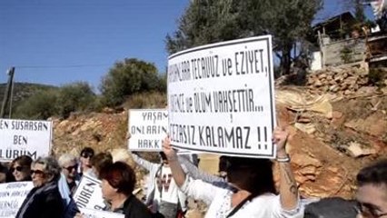 Köpeğinin Başına Vurarak Öldürdüğü İddiası