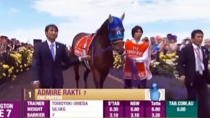 Protectionist Triumphs at 2014 Melbourne Cup Amid Tragic Horse Deaths 🏇