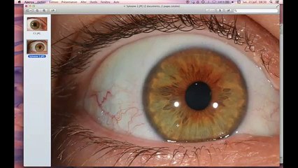 bienêtreaujus cours iridologie2 découvrons l iridologie 2_2-_vivrecru.org