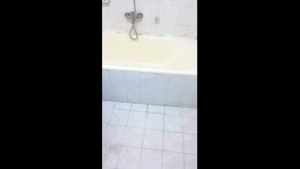 Banyoda böcek görünce yapmak istediğim.