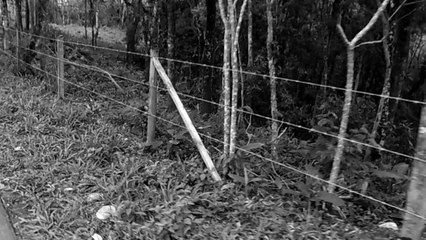 MTB, Trilha dos Óculos Amarelos, Sasselos Team, Rio Piracuama, Taubaté, Tremembé, Pindamonhangaba, Marcelo Ambrogi, (88)
