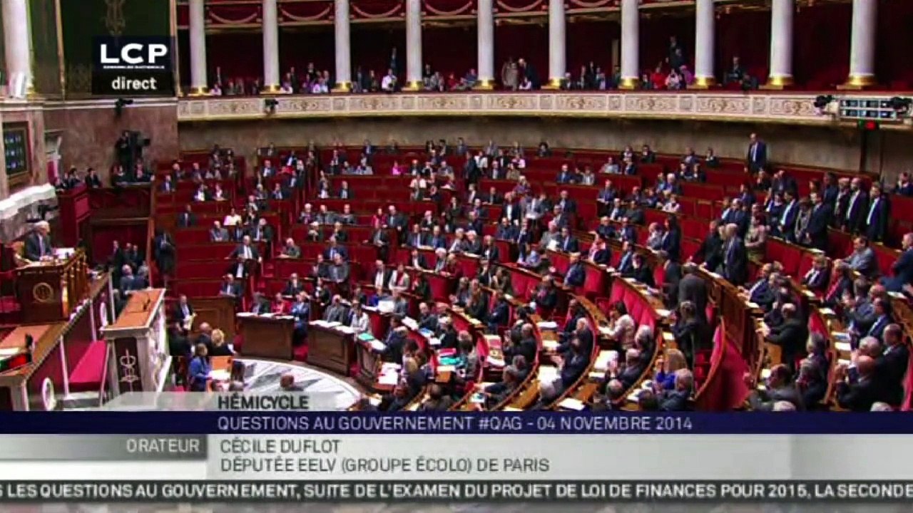 Remi Fraisse : Cecile Duflot tente d'imposer une minute de silence à l'Assemblée Nationale