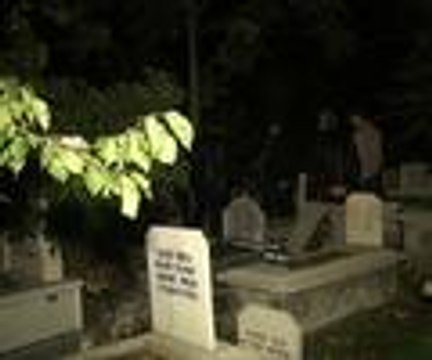 Aranan ayı fotokapana yakalandı