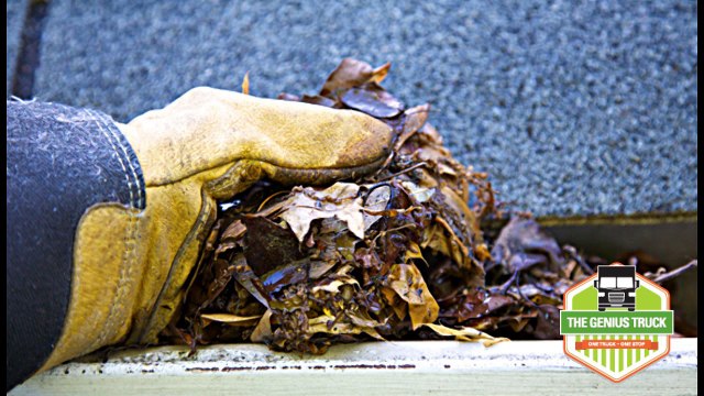 Gutter Cleaning Services - The Genius Truck