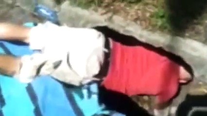 Ol' Man Jenkins, The Sewer Dog Rescue