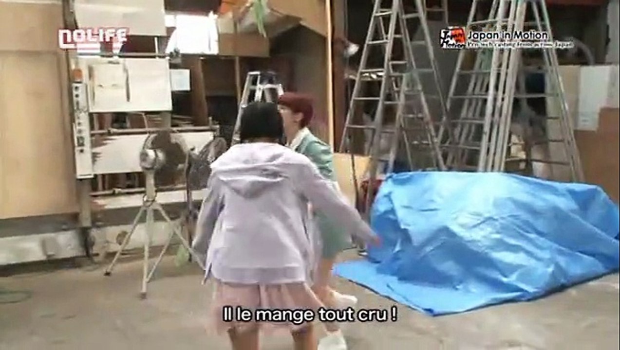 Dinosaures ! Japan In Motion S11E07