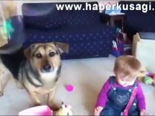 Komik Bebek ve Köpek İkilisi