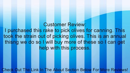 Olive Rake - OLIVE RAKE Review