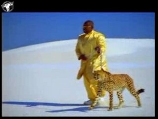 Pappa Bear - When The Rain Begins...