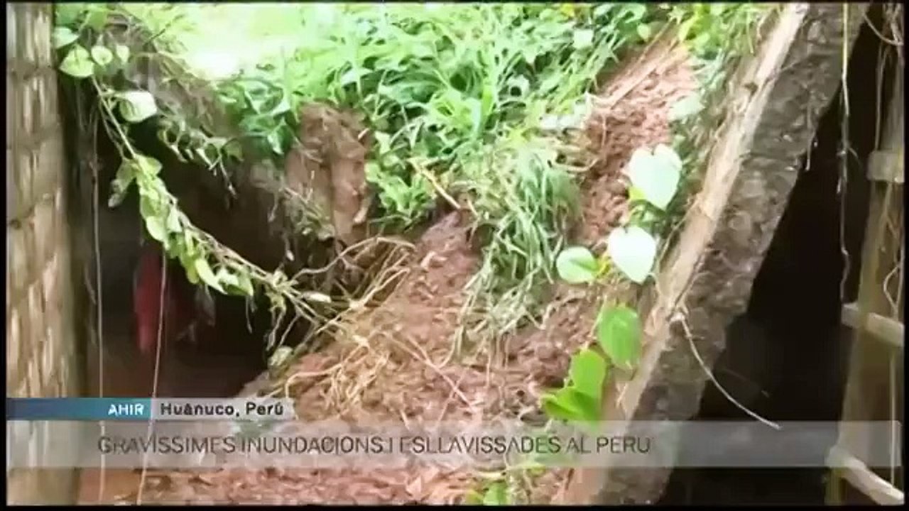 Espai Terra. Dimarts 4 de novembre.