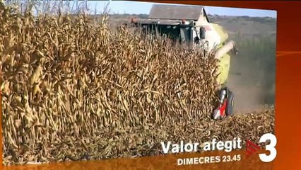 TV3 - Dimecres, 23.45, a TV3 - "Conreus globals, conreus locals", a "Valor afegit"