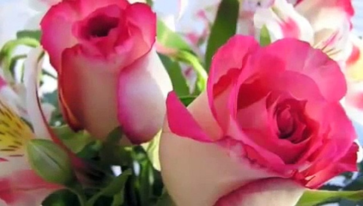 Abhi Na Jao Chor Kar-Shreya Ghoshal Best Song - Video Dailymotion