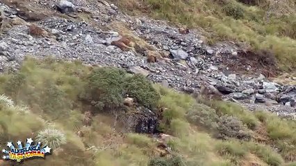 Turn Off Your Light  Plug In Your Headset  And Watch This Short Without Looking Anywhere