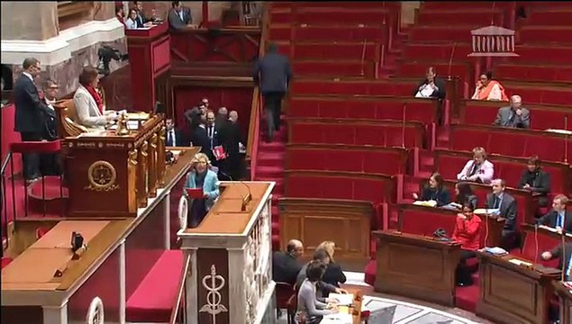 Projet de budget 2015 : discours de Geneviève Fioraso à l'assemblée nationale mardi 4 novembre 2015