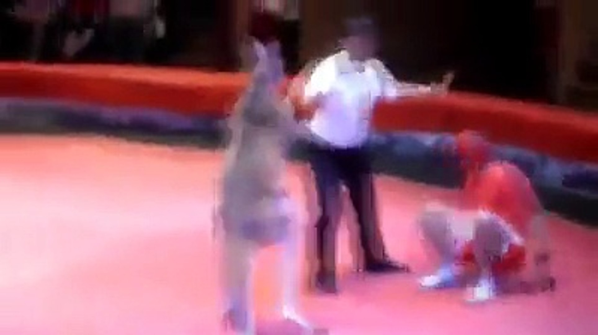 Fight between Kangaroo Vs Man boxing match