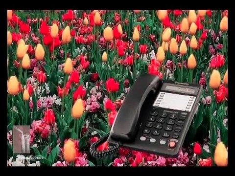 Давление артериальное (Отзывы Суперздоровье, Самоздрав)