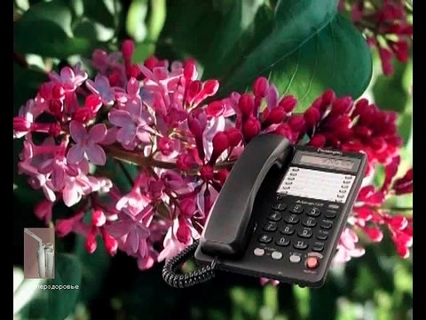 Давление, аритмия, проблемы с кишечником, улучшение зрения (Отзывы Суперздоровье)