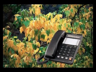 К здоровью с дыхательным тренажёром ТУИ из Суперздоровье (3)