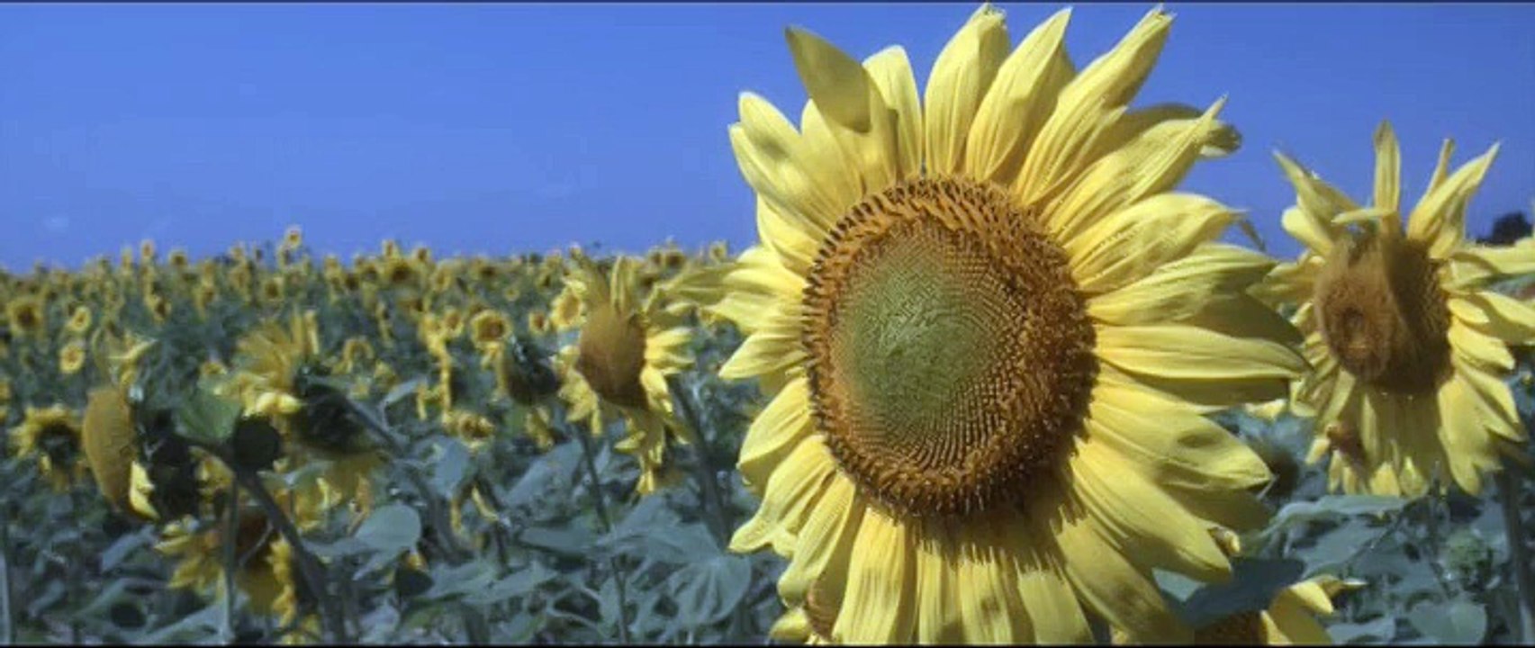 grands sites de midi pyrénées