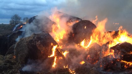 Les agriculteurs mobilisés