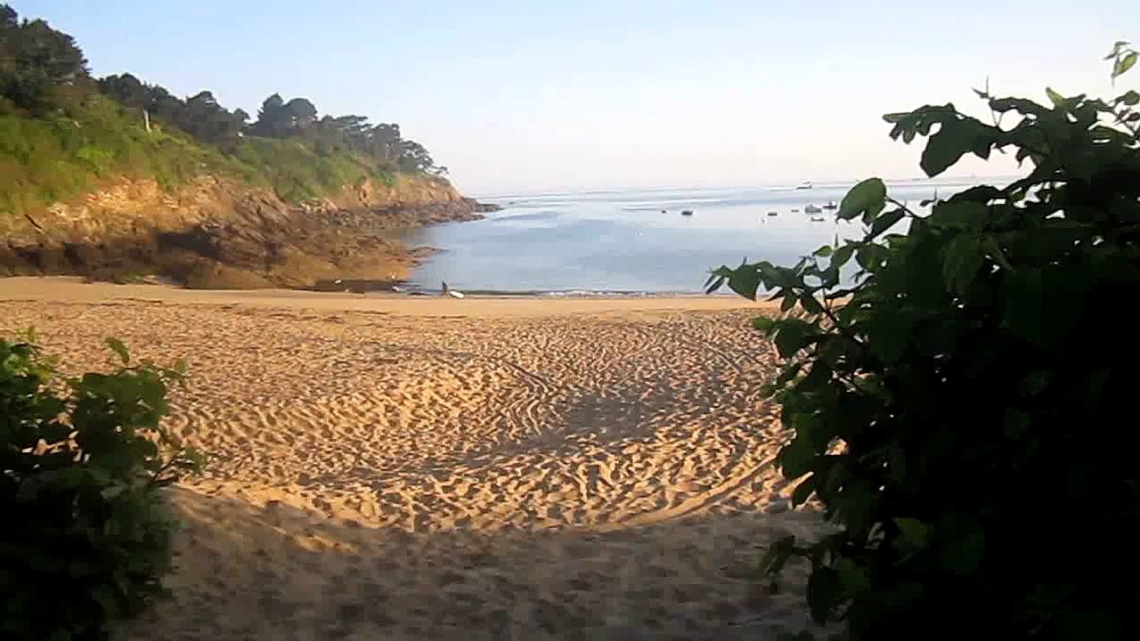 vidéo concept nul