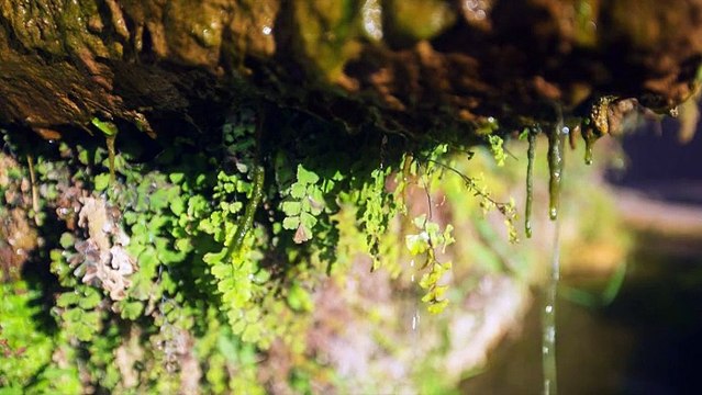 L'argens la prévention des inondations