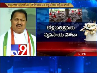 Telangana budget resembles TRS pamphlet -  D.Srinivas - Tv9