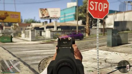Grand Theft Auto V - First-Person Perspective