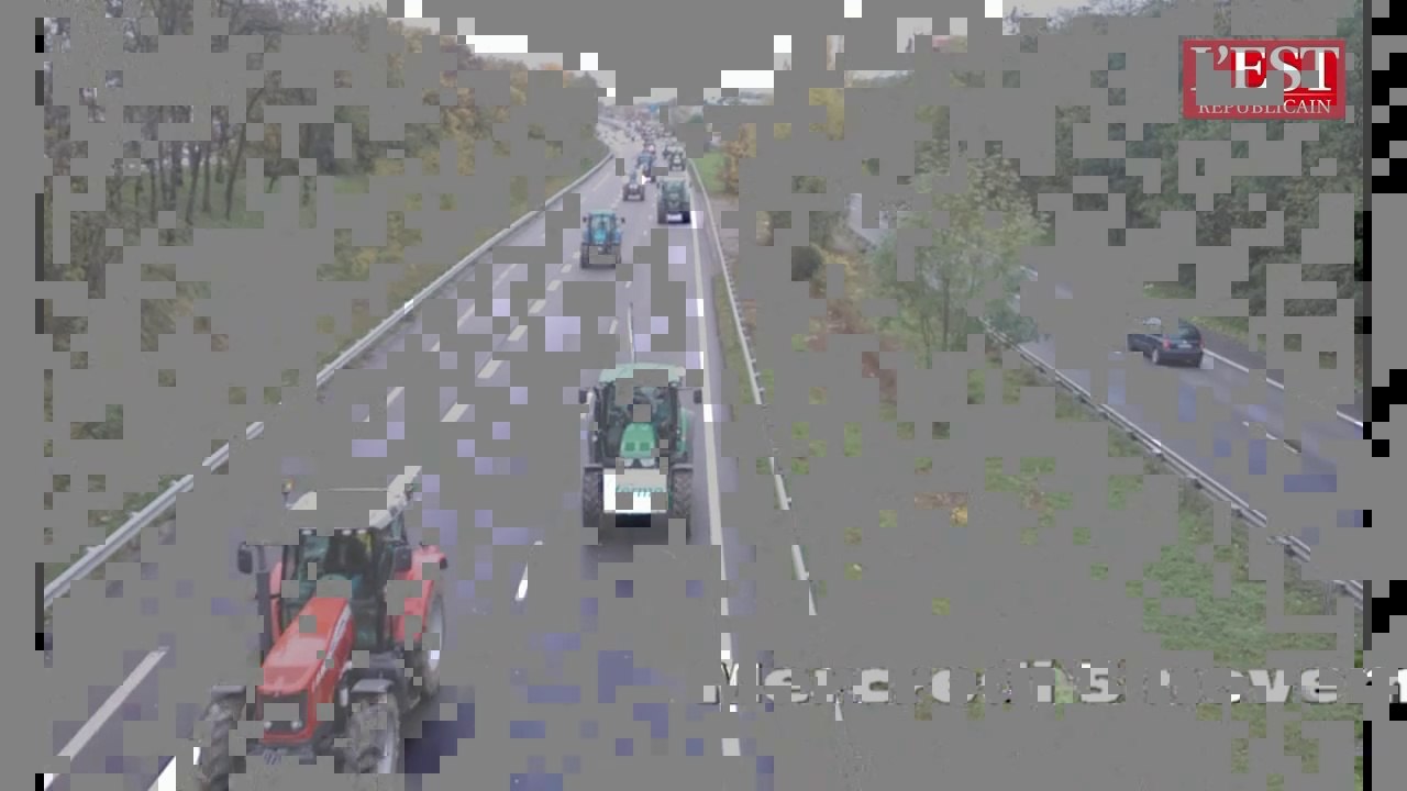 Sur l'A31, les agriculteurs de Meurthe-et-Moselle se rendent en convoir vers la préfecture