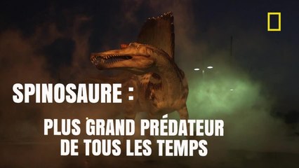 Spinosaure : le plus grand prédateur de tous les temps [National Geographic]
