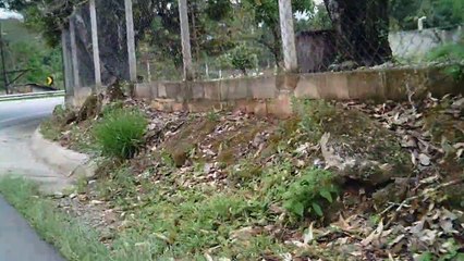 MTB, Trilha dos Óculos Amarelos, Sasselos Team, Rio Piracuama, Taubaté, Tremembé, Pindamonhangaba, Marcelo Ambrogi, (109)