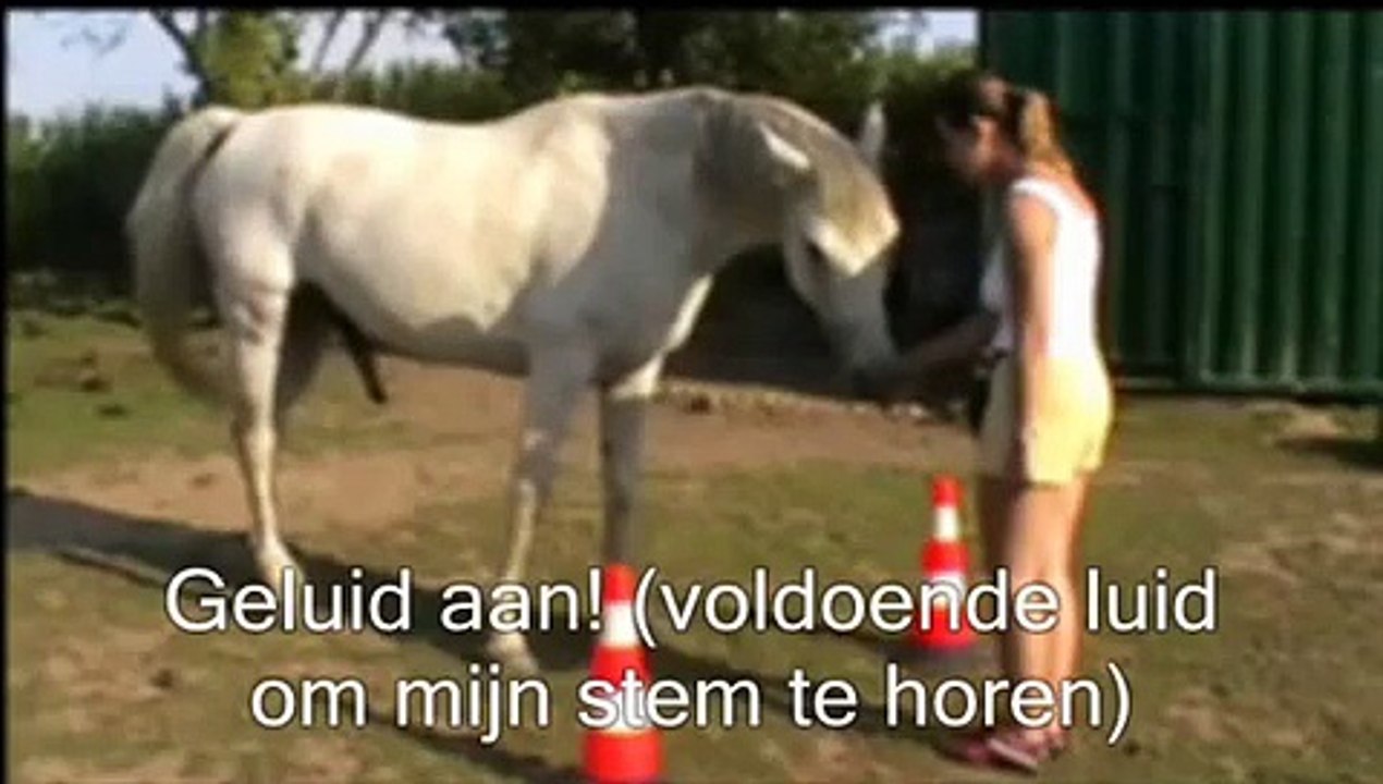 links en rechts discrimineren, clickertraining met plezier