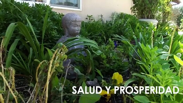 Atrae a tu hogar armonía y equilibrio con el Feng Shui