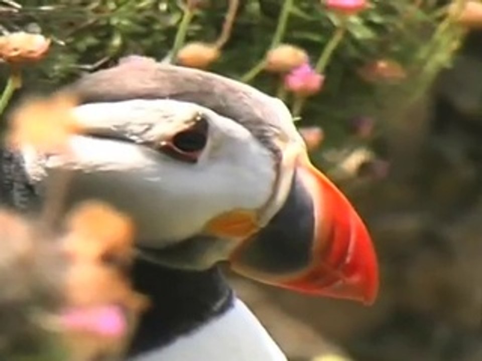 Cliffs of Moher, Ireland  7 Wonders of Nature allthingsirish tv